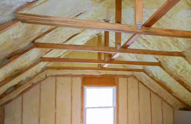 Best Eco-Friendly Insulation in Pleasanton, CA